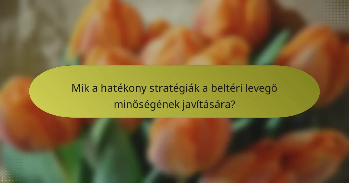 Mik a hatékony stratégiák a beltéri levegő minőségének javítására?