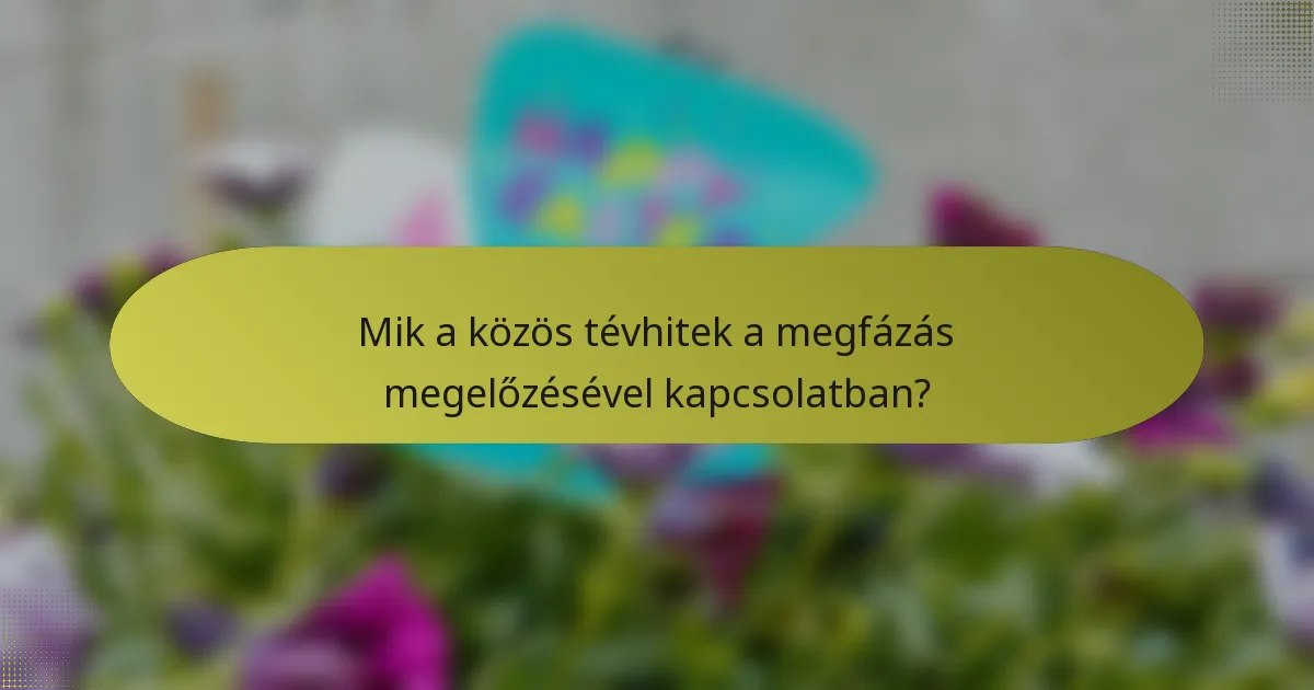 Mik a közös tévhitek a megfázás megelőzésével kapcsolatban?