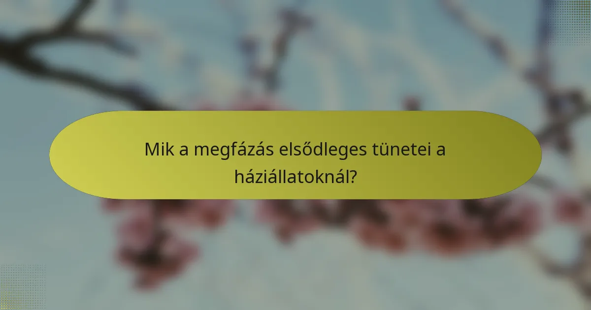 Mik a megfázás elsődleges tünetei a háziállatoknál?