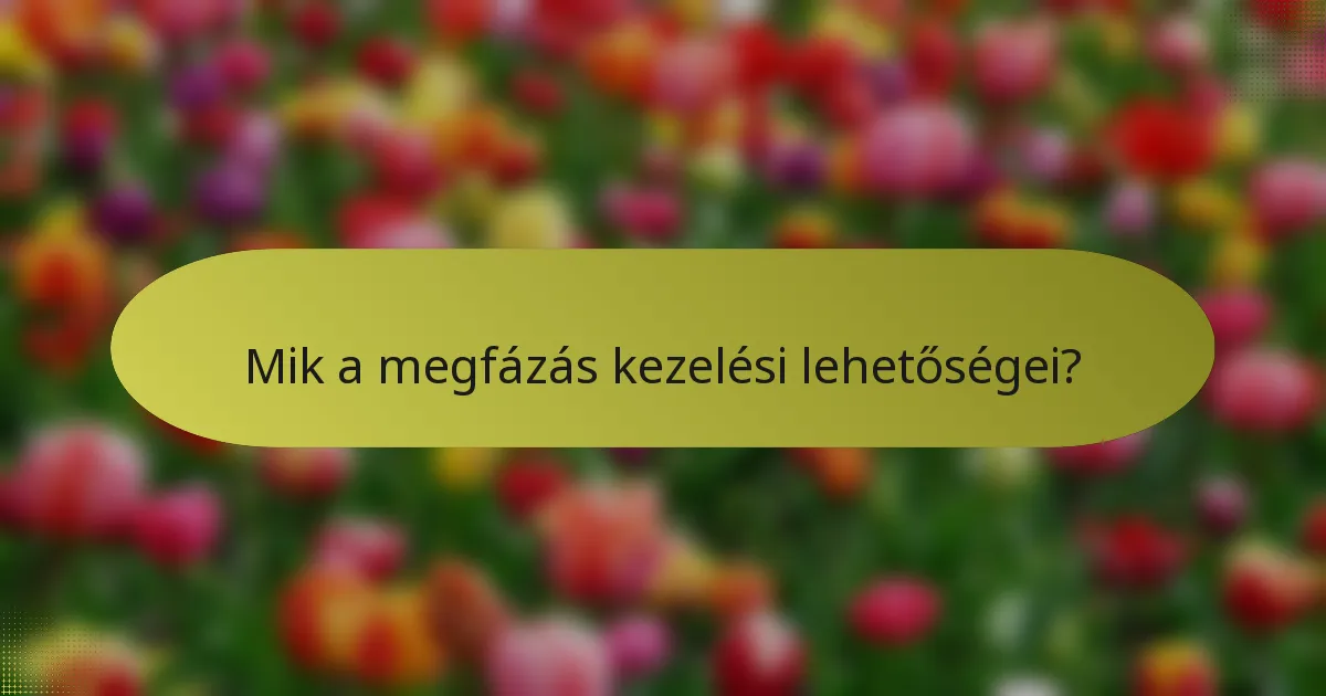 Mik a megfázás kezelési lehetőségei?