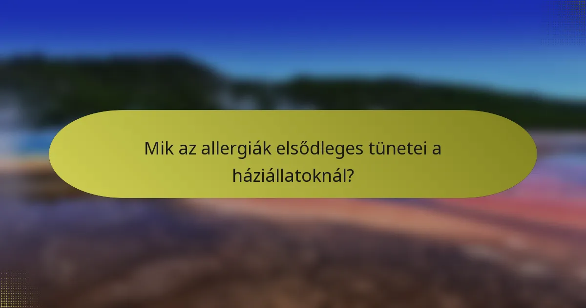 Mik az allergiák elsődleges tünetei a háziállatoknál?
